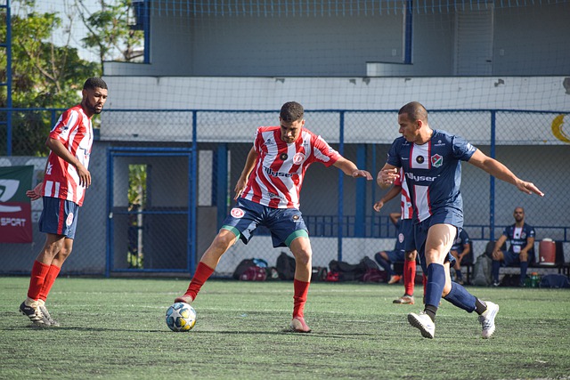 们诠释了这 们诠释了这